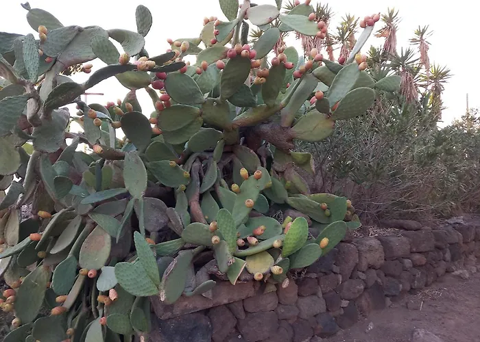 Casa Cossira Scauri (Sicily)